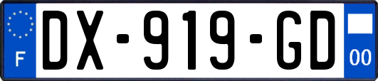 DX-919-GD