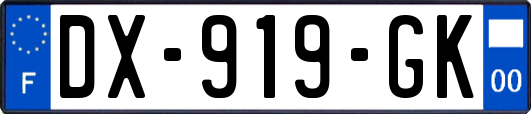 DX-919-GK