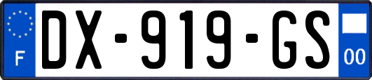 DX-919-GS