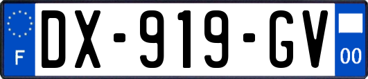 DX-919-GV
