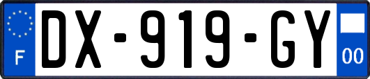 DX-919-GY