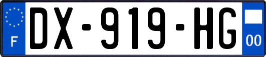 DX-919-HG