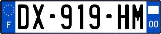 DX-919-HM