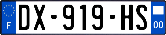 DX-919-HS