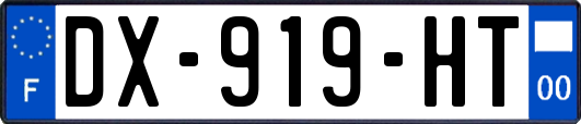 DX-919-HT