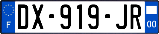 DX-919-JR