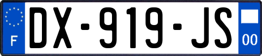 DX-919-JS