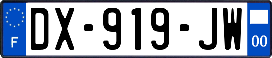 DX-919-JW