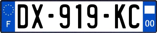 DX-919-KC