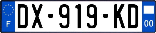 DX-919-KD