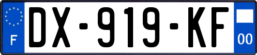 DX-919-KF