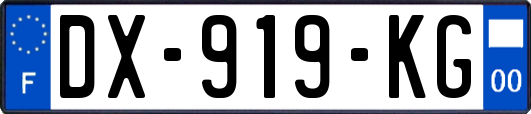 DX-919-KG
