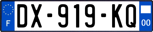 DX-919-KQ
