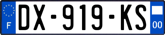 DX-919-KS