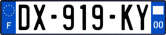 DX-919-KY