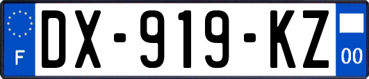 DX-919-KZ