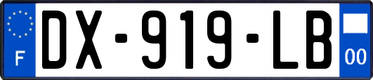DX-919-LB