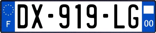 DX-919-LG