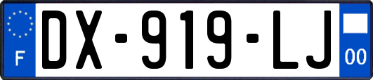 DX-919-LJ