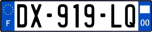 DX-919-LQ