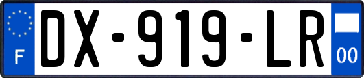 DX-919-LR