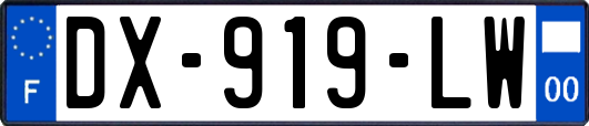 DX-919-LW
