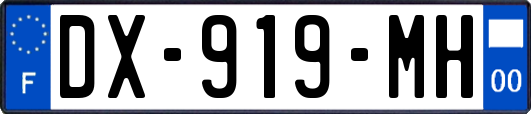 DX-919-MH