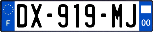 DX-919-MJ