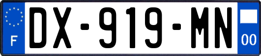 DX-919-MN