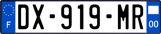 DX-919-MR