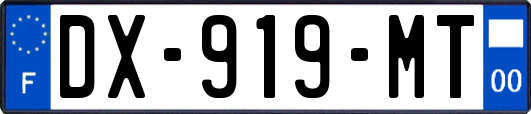 DX-919-MT