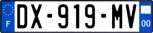 DX-919-MV