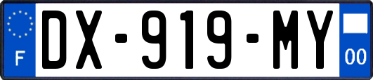 DX-919-MY