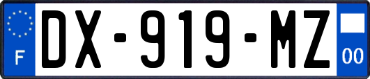 DX-919-MZ