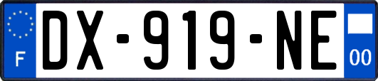 DX-919-NE