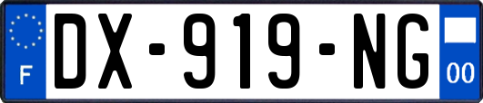 DX-919-NG
