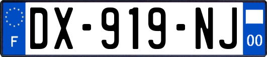 DX-919-NJ