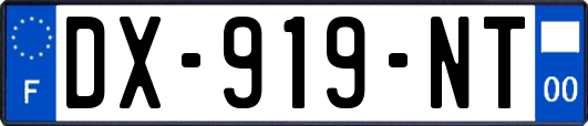 DX-919-NT
