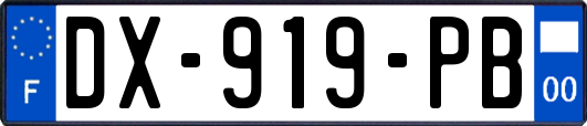 DX-919-PB