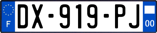 DX-919-PJ