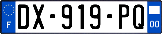 DX-919-PQ