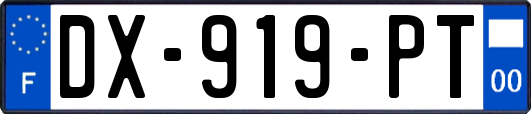 DX-919-PT