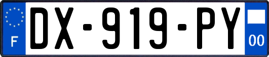 DX-919-PY