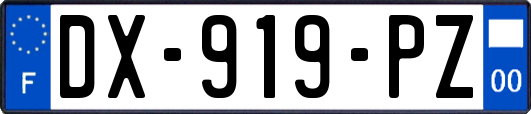DX-919-PZ