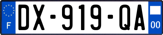 DX-919-QA