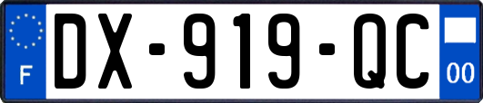 DX-919-QC