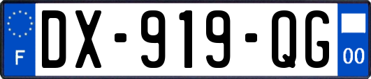 DX-919-QG