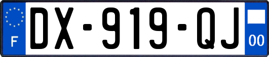 DX-919-QJ