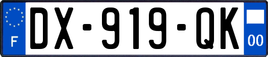 DX-919-QK