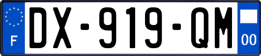 DX-919-QM